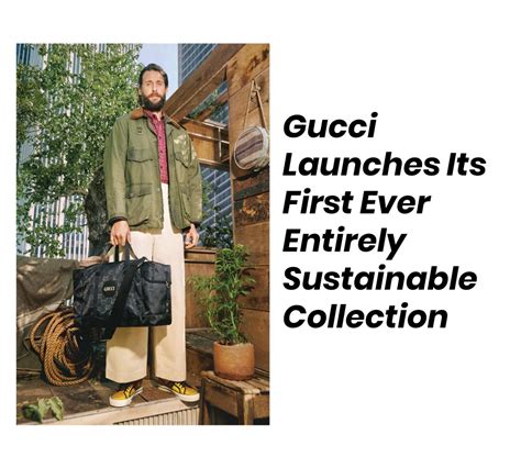 gucci sustainability campaign|is Gucci ethical.